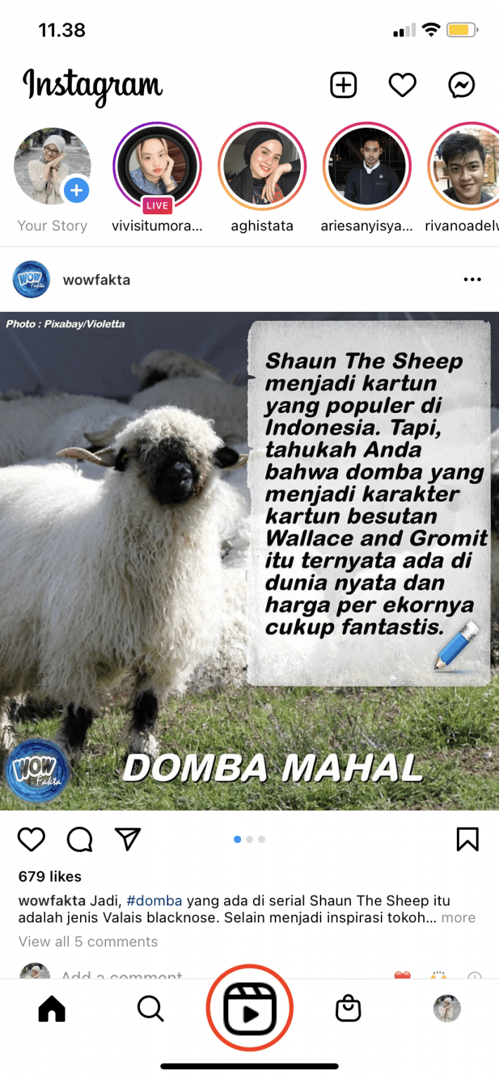 Image