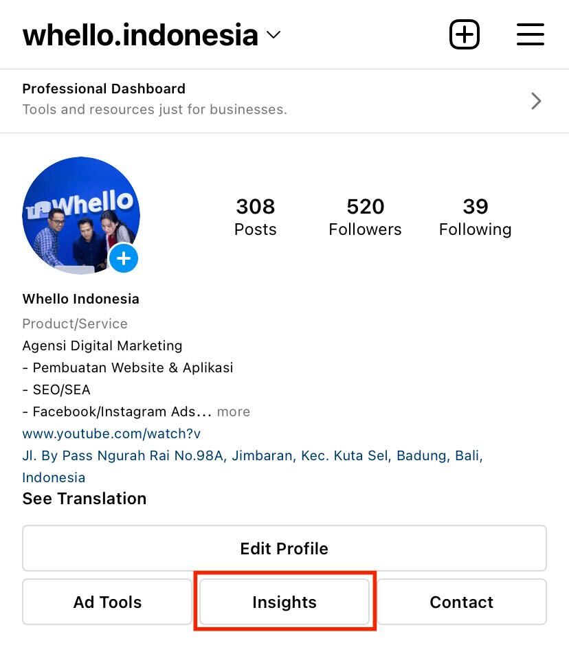 fitur instagram insight pada akun instagram bisnis