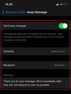 away message pada whatsapp bisnis