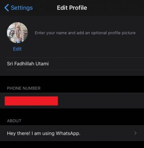 contoh profile whatsapp messenger