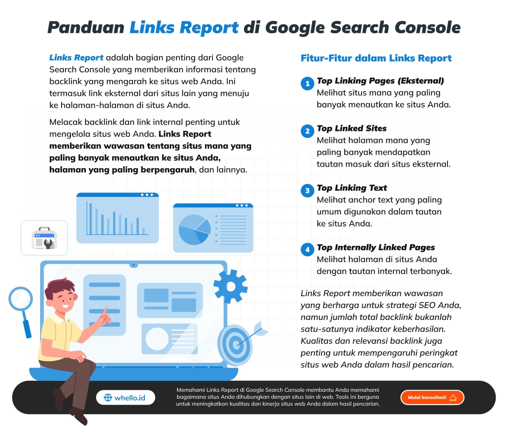 links report di google search console